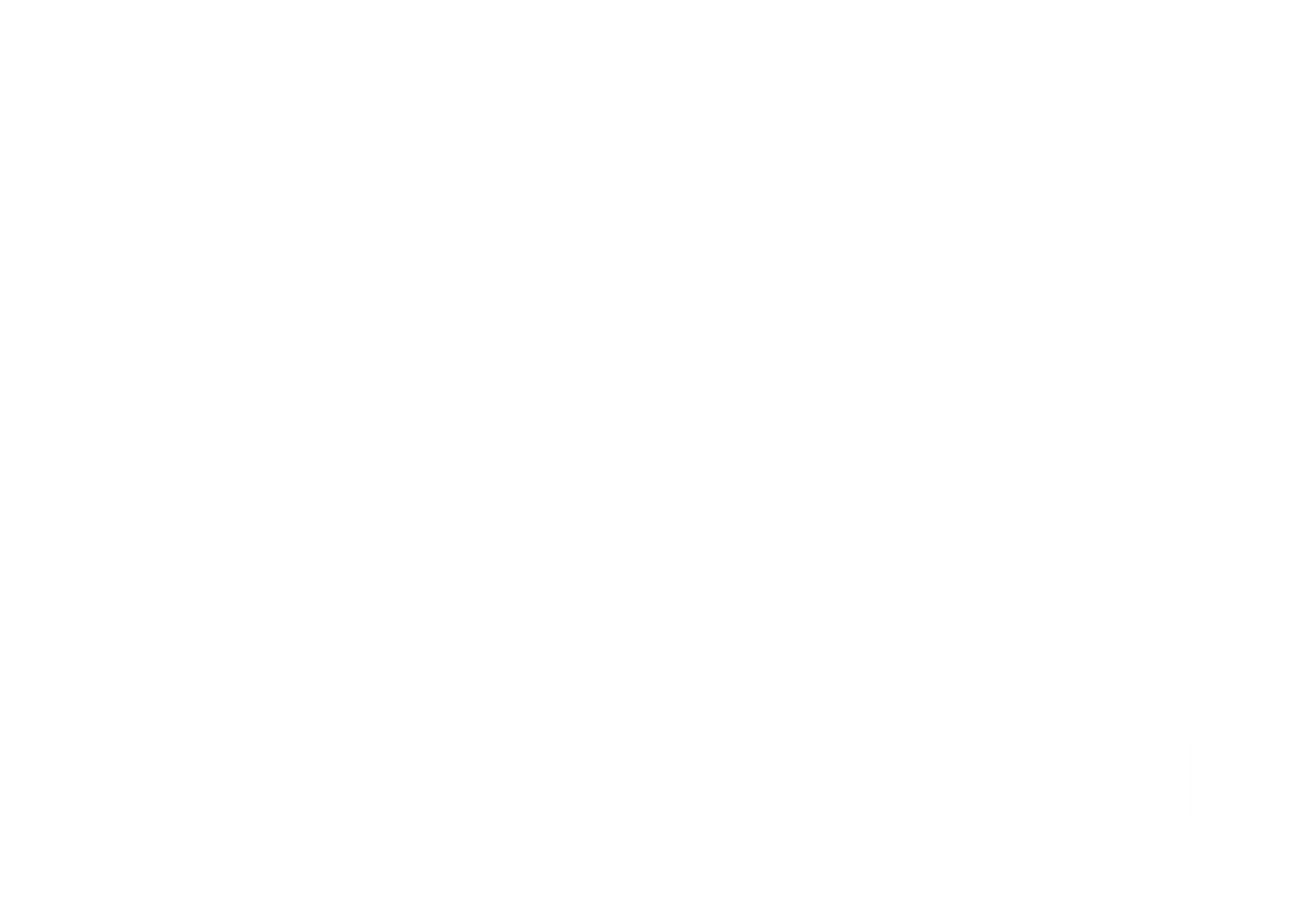 Husqvarna - Botos Motors Tuning